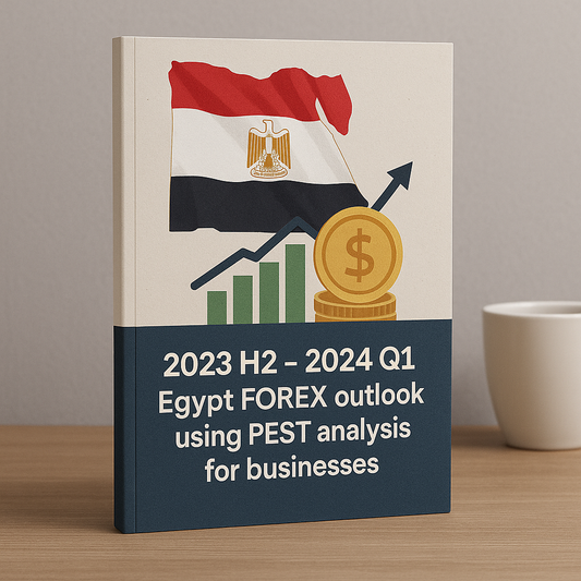 2023 H2 - 2024 Q1 Egypt FOREX outlook using PEST analysis for businesses